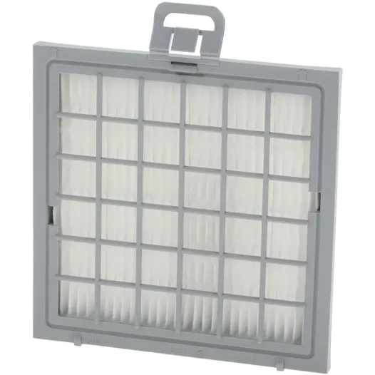 Bosch Leistungsstarker Hygienefilter 00579193