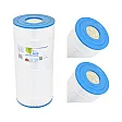 Darlly Pool Filterkartusche | AstralPool Terra 100, Astral 2510 CE, PAST100 Darlly Pool Filterkartusche | AstralPool Terra 100, Astral 2510 CE, PAST100