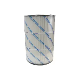 Hayward Schwimmbad-Wasserfilter C800EURO / CX800RE