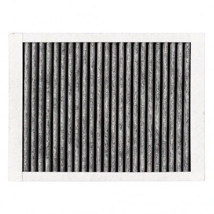 Alapure Geruchs- und Feinstaubfilter geeignet für Atag HF3001