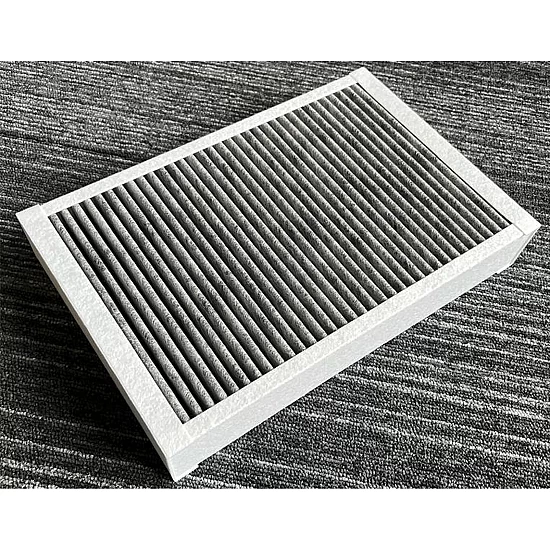 Alapure Geruchs- und Feinstaubfilter geeignet für Pelgrim HF3008 Alapure Geruchs- und Feinstaubfilter geeignet für Pelgrim HF3008