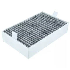 Alapure HFK3450 Passend für Miele Kohlefilter DKF31-P