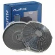 Alapure Kohlefilter geeignet für Galvamet X39.C90 / X37.C90 / X36.90 / X37.90
