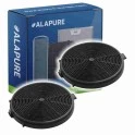 Alapure Kohlefilter passend für Hanseatic CF150 (2 Stück)