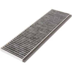 Gaggenau Kohlefilter 11059589 / 00291106