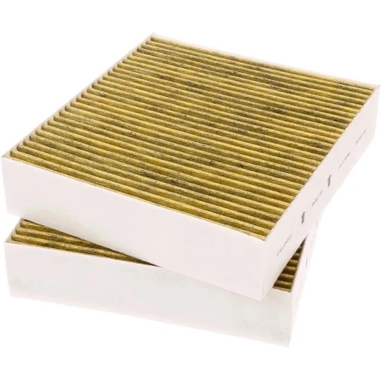 Alapure Kohlefilter passend für Gaggenau 11058753 / 11028106 / AA410110 (2St.)