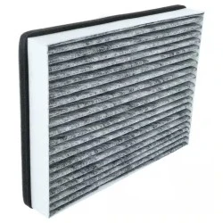 Alapure HFK3451 Passend für Miele Kohlefilter DKF36-P