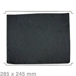 Alapure Longlife Aktivkohlefilter geeignet für Bauknecht Typ 31 / AMH290