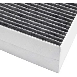 Alapure CleanAir Aktivkohlefilter geeignet für Constructa 00741638 / 11017314 / 00678460