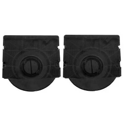 Scholtes Kohlefilter C00135460 / 135460 (2 Stk.)