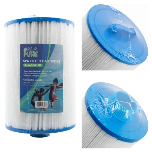 Alapure Spa Wasserfilter geeignet für Pleatco PMAX50P4