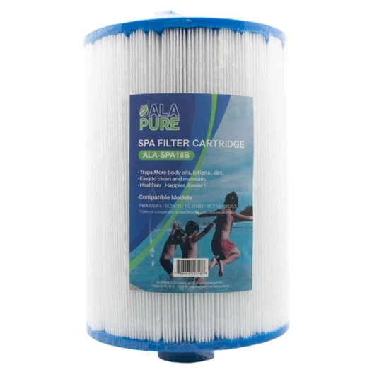 Alapure Spa Wasserfilter geeignet für Pleatco PMAX50P4