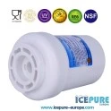 Icepure Wasserfilter geeignet für Indesit C00094394