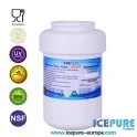 Icepure Wasserfilter geeignet für Indesit C00094394