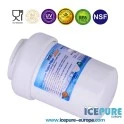 Icepure Wasserfilter geeignet für Indesit C00094394