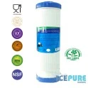 Alapure 20 Zoll großer blauer GAC-Kohlewasserfilter ALA-GAC20BB