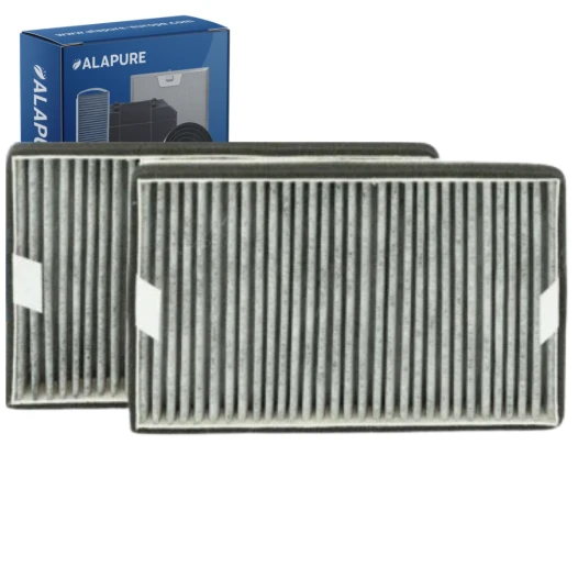 Alapure HFK3975 Kompatibel mit Miele Kohlefilter DKF19-P / FWKM-1423 (2 Stück)