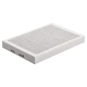 Pelgrim Geruchs- und Feinstaubfilter HF3008