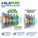 Alapure Metallfilter geeignet für Etna 453284 / 89000754 384x282x6mm