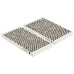 Alapure Geruchs- und Feinstaubfilter passend für Pelgrim HF3015 (2 Stück)