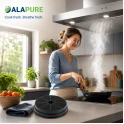 Alapure Aktivkohlefilter geeignet für Airlux 89000751 / D180 / 34468 / CR300 / CHF180/B