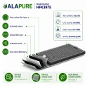 Alapure HFK3975 Kompatibel mit Miele Kohlefilter DKF19-P / FWKM-1423 (2 Stück)