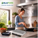 Alapure CleanAirAktivkohlefilter geeignet für Blaupunkt 11049702 / 11026771 / 00705432