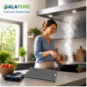 Alapure Kohlefilter Miele DKF25-1 / DKF25-P von Alapure HFK3965