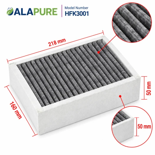 Alapure Geruchs- und Feinstaubfilter geeignet für Etna HF3001