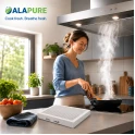 Alapure Geruchs- und Feinstaubfilter geeignet für Atag HF3004