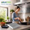 Alapure HEPA Aktivkohlefilter passend für Elica KIT0176157