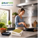 Alapure Kohlefilter passend für Gaggenau 11058753 / 11028106 / AA410110 (2St.)