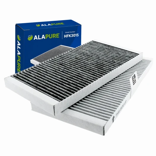 Alapure Geruchs- und Feinstaubfilter passend für Pelgrim HF3015 (2 Stück)