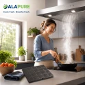 Alapure Aktivkohlefilter geeignet für Airlux CR380