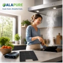 Alapure Aktivkohlefilter geeignet für Pelgrim KF91