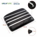 Alapure Kohlefilter passend für Sauter 71X0704 (2Stk)