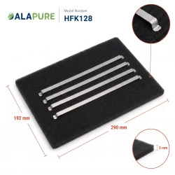 Alapure Kohlefilter Passend für Brandt 72X3800 (2Stk)