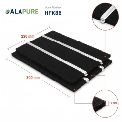 Alapure Kohlefilter passend für DeDietrich Kohlefilter AS0062459 