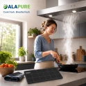 Alapure Kohlefilter passend für Ikea 482000005727 (2 St.)