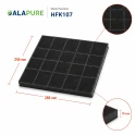 Alapure Kohlefilter passend für Zanussi MCFB58ST / 9029865848 / MCFB58