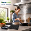 Alapure Kohlefilter passend für Zanussi MCFB58ST / 9029865848 / MCFB58