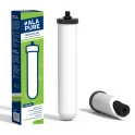 Iomabe-Keramikfilter von Doulton