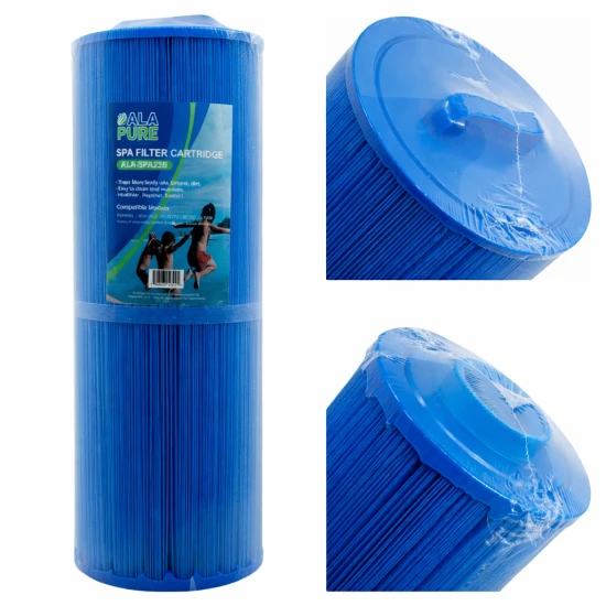 Alapure Spa bakterielle Wasserfilter geeignet für Unicel 4CH-949