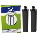 Alapure Wasserfilterelemente geeignet für Black Berkey
