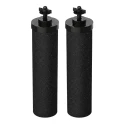 Alapure Filter passend für Doulton Ultra Fluorid Filter (2 Stück)