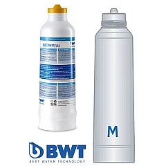 BWT Bestmax M Austauschpatrone FS24I00A00 BWT Bestmax M Austauschpatrone FS24I00A00