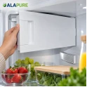 Alapure Gefriertür passend für Bosch 00447344 / 447344